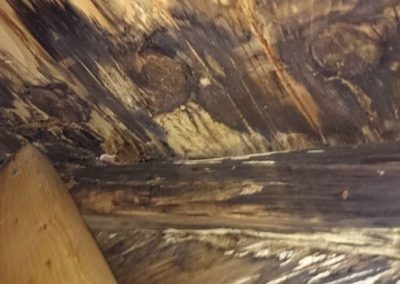 Roof Repair